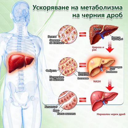 👩‍⚕️👍 𝐴𝑁𝐺𝐸𝐿𝑇𝑅𝐴𝑃® 𝐌𝐨𝐫𝐢𝐧𝐠𝐚 × 𝐁𝐞𝐫𝐛𝐞𝐫𝐲𝐧𝐚 × 𝐀𝐌𝐏𝐊 𝟏𝟎 в 𝟏 – Нано микроиглен пластир за отслабване|Само 𝟏× дневно ✅ Видими промени за 𝟕 дни – при затлъстяване, сърдечно-съдово здраве, диабет и ставни проблеми