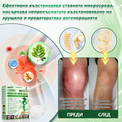 👩‍⚕️👍 𝐴𝑁𝐺𝐸𝐿𝑇𝑅𝐴𝑃® 𝐌𝐨𝐫𝐢𝐧𝐠𝐚 × 𝐁𝐞𝐫𝐛𝐞𝐫𝐲𝐧𝐚 × 𝐀𝐌𝐏𝐊 𝟏𝟎 в 𝟏 – Нано микроиглен пластир за отслабване|Само 𝟏× дневно ✅ Видими промени за 𝟕 дни – при затлъстяване, сърдечно-съдово здраве, диабет и ставни проблеми