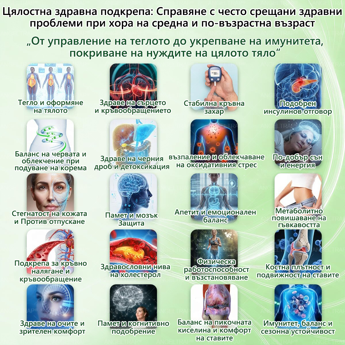 👩‍⚕️👍 𝐴𝑁𝐺𝐸𝐿𝑇𝑅𝐴𝑃® 𝐌𝐨𝐫𝐢𝐧𝐠𝐚 × 𝐁𝐞𝐫𝐛𝐞𝐫𝐲𝐧𝐚 × 𝐀𝐌𝐏𝐊 𝟏𝟎 в 𝟏 – Нано микроиглен пластир за отслабване|Само 𝟏× дневно ✅ Видими промени за 𝟕 дни – при затлъстяване, сърдечно-съдово здраве, диабет и ставни проблеми