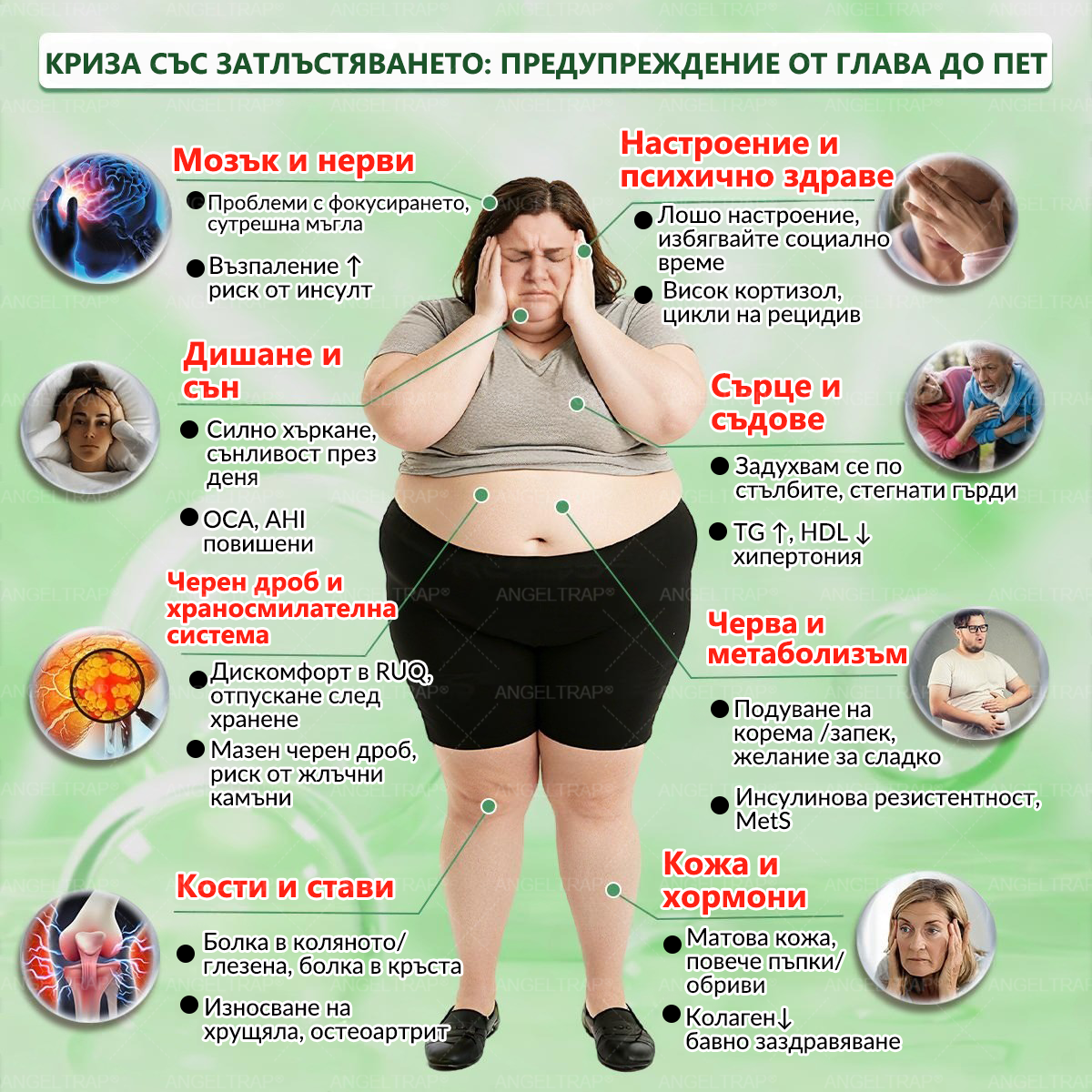 👩‍⚕️👍 𝐴𝑁𝐺𝐸𝐿𝑇𝑅𝐴𝑃® 𝐌𝐨𝐫𝐢𝐧𝐠𝐚 × 𝐁𝐞𝐫𝐛𝐞𝐫𝐲𝐧𝐚 × 𝐀𝐌𝐏𝐊 𝟏𝟎 в 𝟏 – Нано микроиглен пластир за отслабване|Само 𝟏× дневно ✅ Видими промени за 𝟕 дни – при затлъстяване, сърдечно-съдово здраве, диабет и ставни проблеми